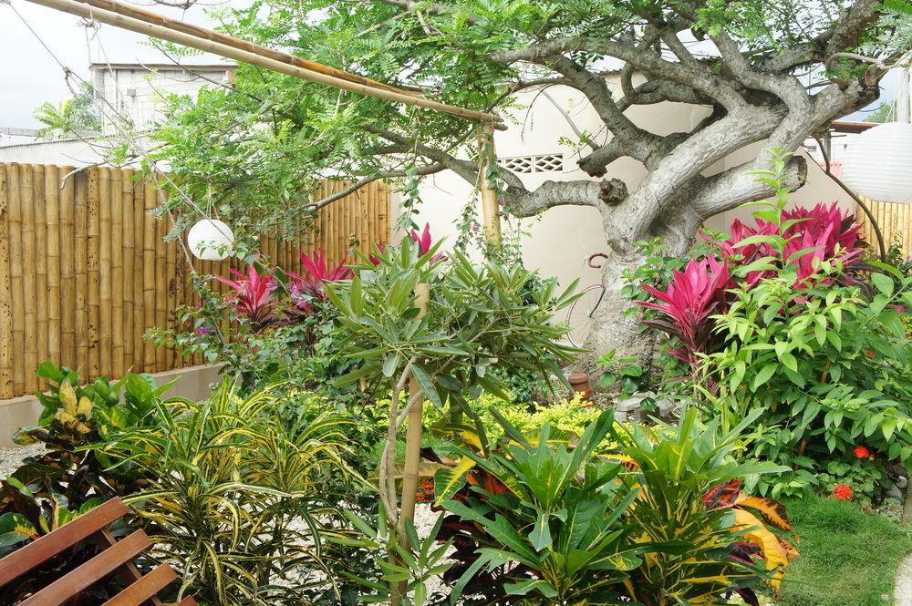 Rincon D'Olon Boutique Hotel Buitenkant foto